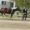 Babie Lato 2016